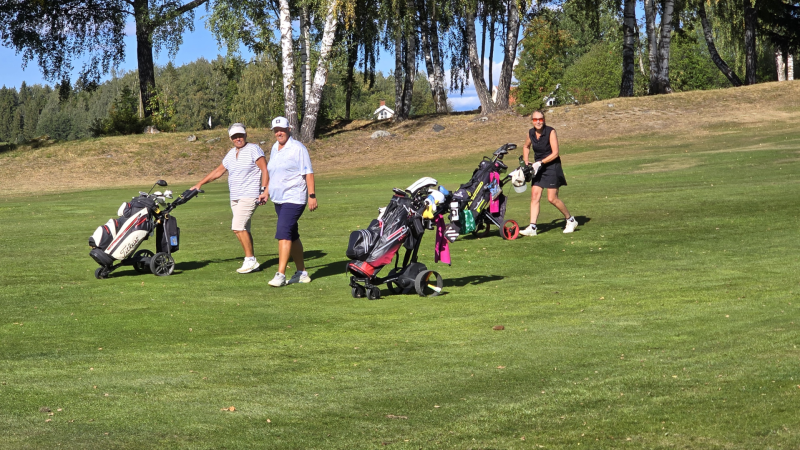 Slå et slag for Ukraina